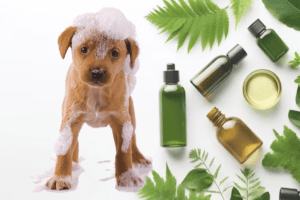 Curso cosmeticos para mascotas